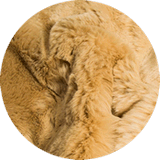 Nuestros tejidos de imitación de piel beige