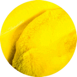 Nuestros tejidos de imitación de piel amarillo y oro