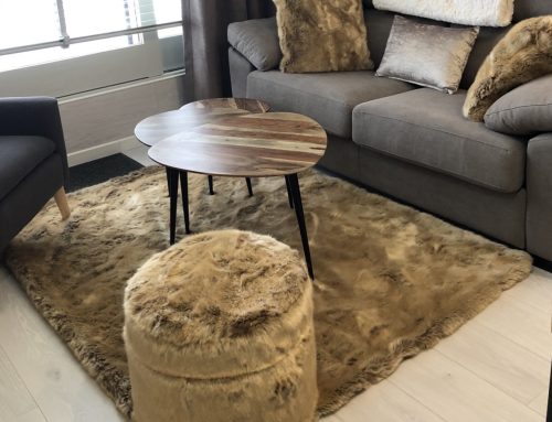 Muebles de piel de Campart
